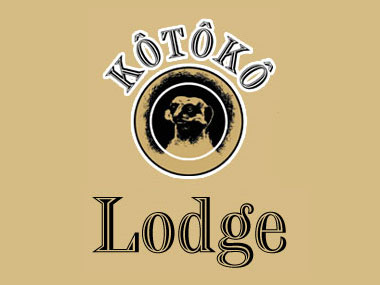Kotoko Lodge - Kotoko Lodge is a beautifully decorated Rustic Lodge situated in Bloemfontein for anyone who is looking for the ideal Wedding Venue. Just give us a call or visit our website.